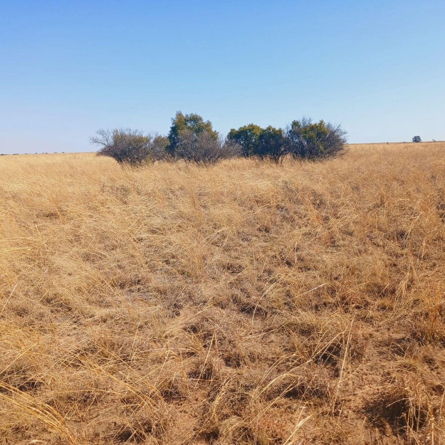 Commercial Property for Sale in Reivilo Northern Cape